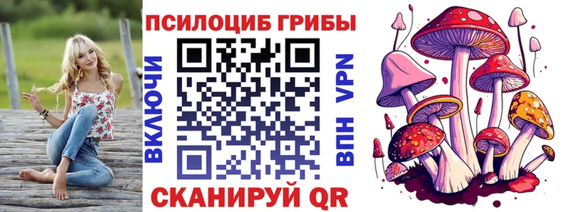 ссылка на мегу ТОР  где купить наркотик  Высоцк  Галлюциногенные грибы Cubensis 