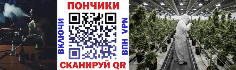 ОМГ ОМГ сайт Высоцк МАРИХУАНА THC 21%